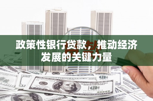 东明政策性银行贷款，推动经济发展的关键力量