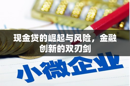 东明现金贷的崛起与风险，金融创新的双刃剑