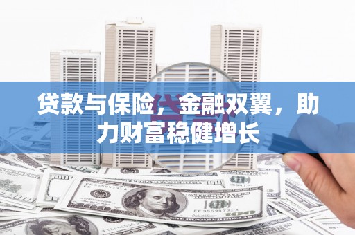 东明贷款与保险，金融双翼，助力财富稳健增长