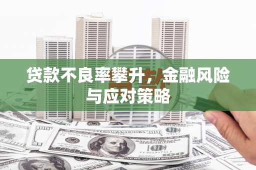 东明贷款不良率攀升，金融风险与应对策略