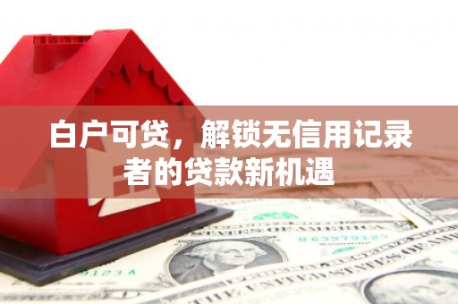东明白户可贷，解锁无信用记录者的贷款新机遇