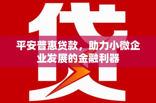 东明平安普惠贷款，助力小微企业发展的金融利器