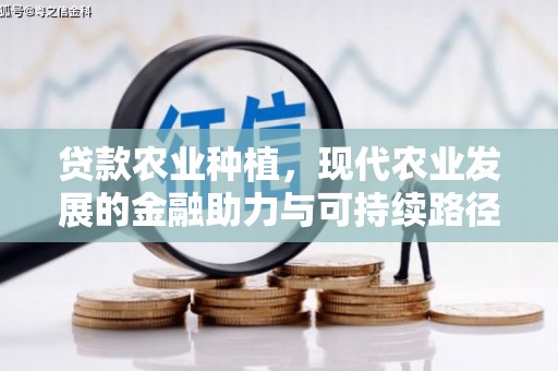 东明贷款农业种植，现代农业发展的金融助力与可持续路径