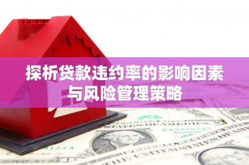 东明探析贷款违约率的影响因素与风险管理策略