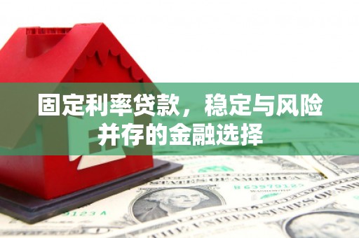 东明固定利率贷款，稳定与风险并存的金融选择