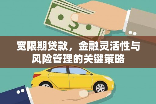 东明宽限期贷款，金融灵活性与风险管理的关键策略