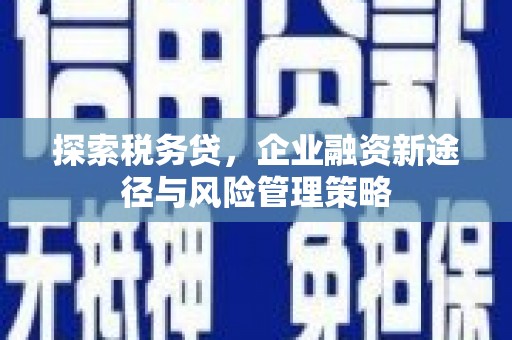 东明探索税务贷，企业融资新途径与风险管理策略