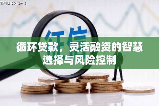 东明循环贷款，灵活融资的智慧选择与风险控制