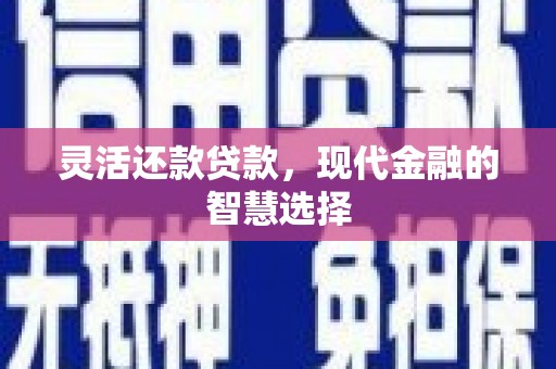 东明灵活还款贷款，现代金融的智慧选择