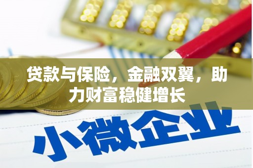 东明贷款与保险，金融双翼，助力财富稳健增长