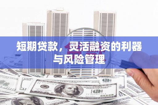 东明短期贷款，灵活融资的利器与风险管理
