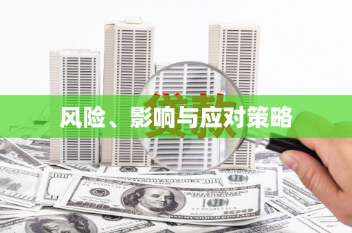 东明风险、影响与应对策略