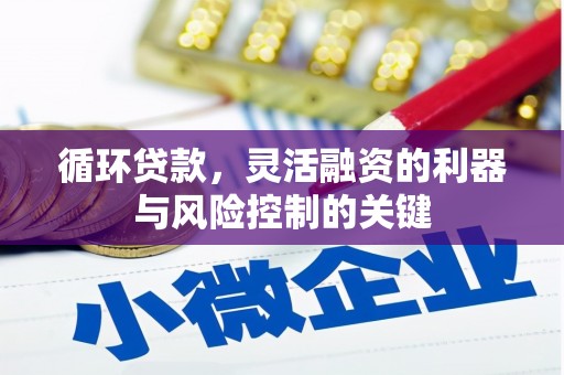 东明循环贷款，灵活融资的利器与风险控制的关键