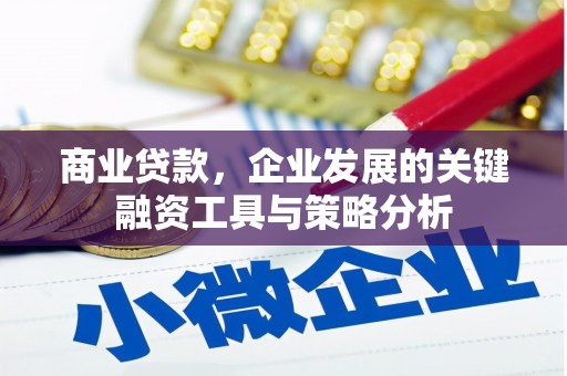 东明商业贷款，企业发展的关键融资工具与策略分析