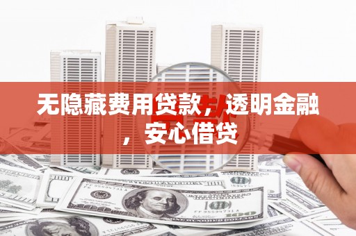 东明无隐藏费用贷款，透明金融，安心借贷