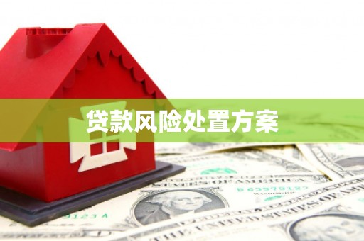 东明贷款风险处置方案