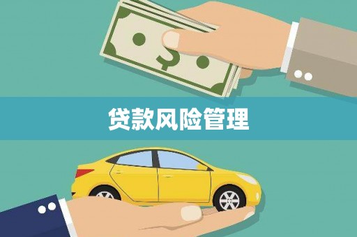 东明贷款风险管理