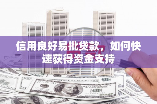 东明信用良好易批贷款，如何快速获得资金支持