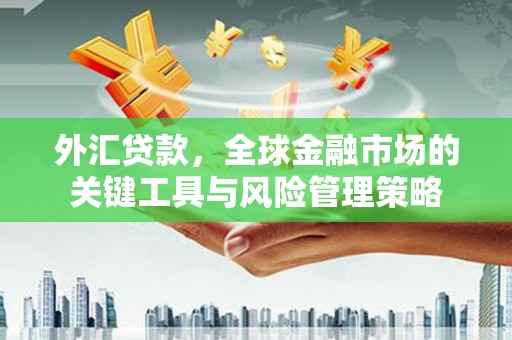 东明外汇贷款，全球金融市场的关键工具与风险管理策略