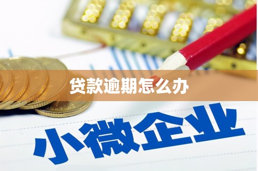 东明贷款逾期怎么办
