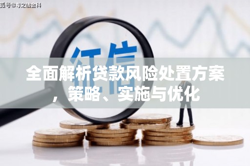 东明全面解析贷款风险处置方案，策略、实施与优化