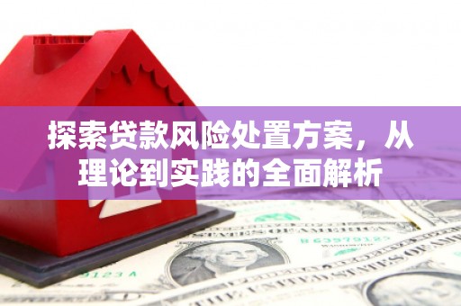 东明探索贷款风险处置方案，从理论到实践的全面解析