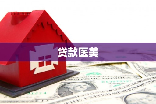 东明贷款医美