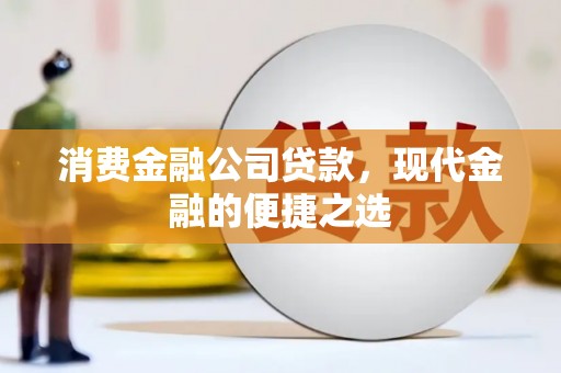 东明消费金融公司贷款，现代金融的便捷之选
