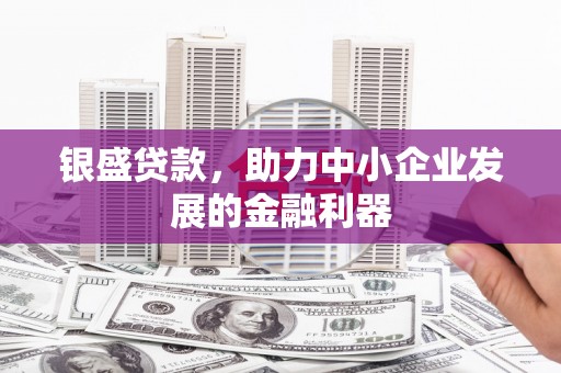 东明银盛贷款，助力中小企业发展的金融利器