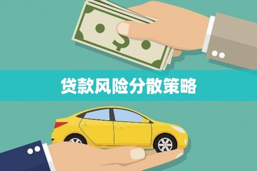 东明贷款风险分散策略