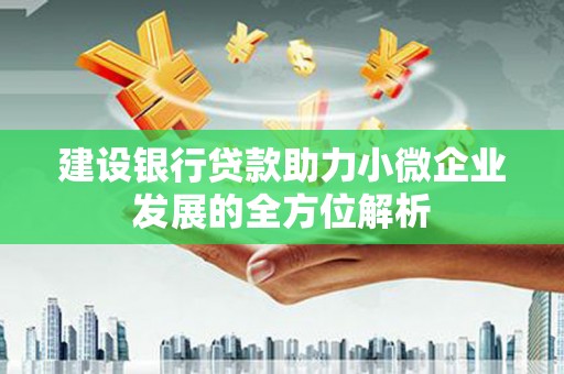 东明建设银行贷款助力小微企业发展的全方位解析