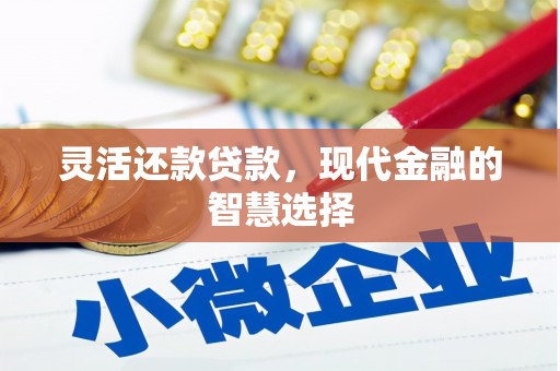 东明灵活还款贷款，现代金融的智慧选择