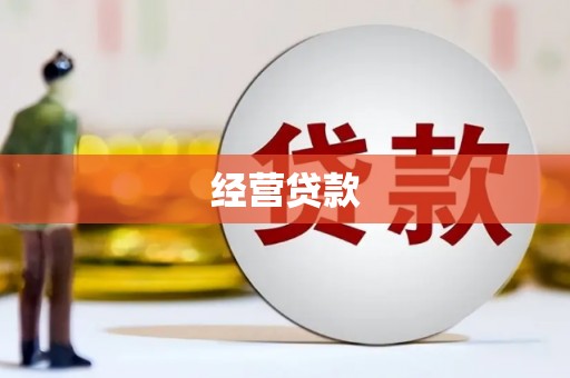 东明经营贷款