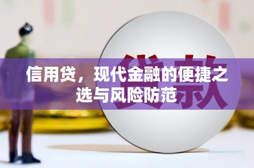 东明信用贷，现代金融的便捷之选与风险防范