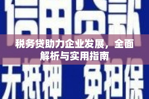 东明税务贷助力企业发展，全面解析与实用指南