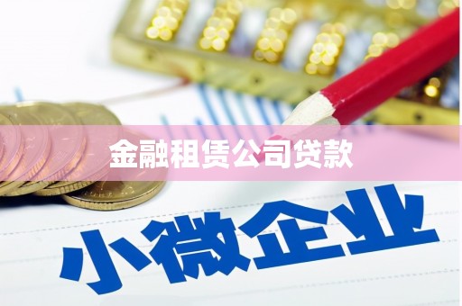 东明金融租赁公司贷款