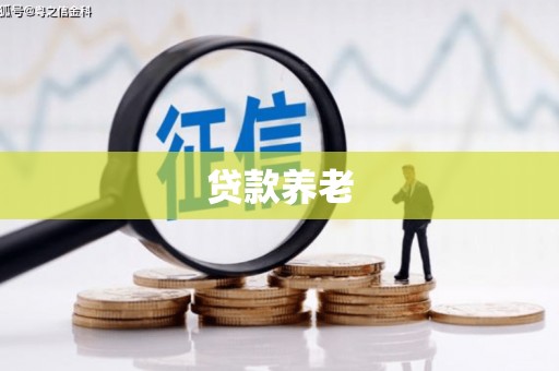 东明贷款养老