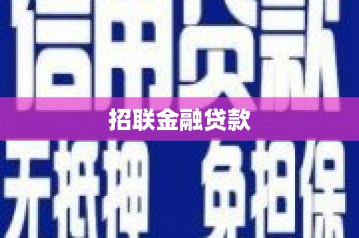 东明招联金融贷款