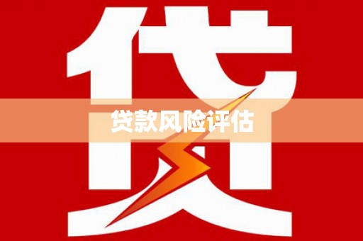 东明贷款风险评估