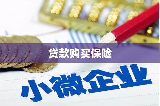 东明贷款购买保险