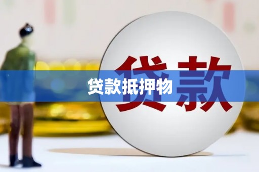 东明贷款抵押物