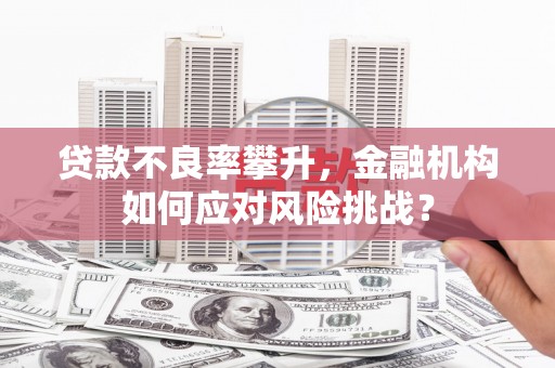 东明贷款不良率攀升，金融机构如何应对风险挑战？