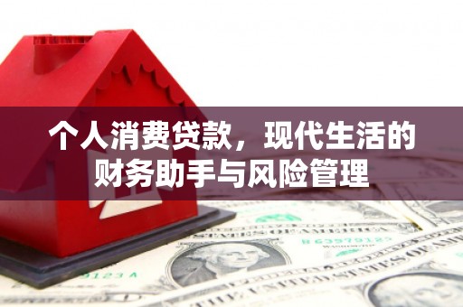 东明个人消费贷款，现代生活的财务助手与风险管理