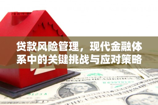 东明贷款风险管理，现代金融体系中的关键挑战与应对策略