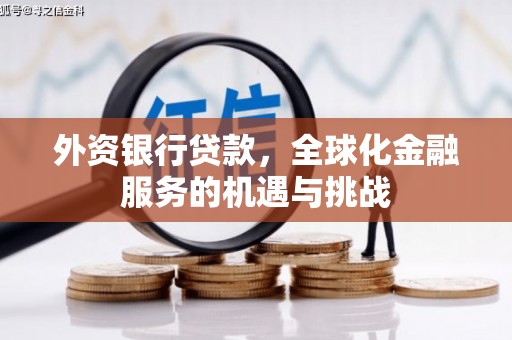 东明外资银行贷款，全球化金融服务的机遇与挑战