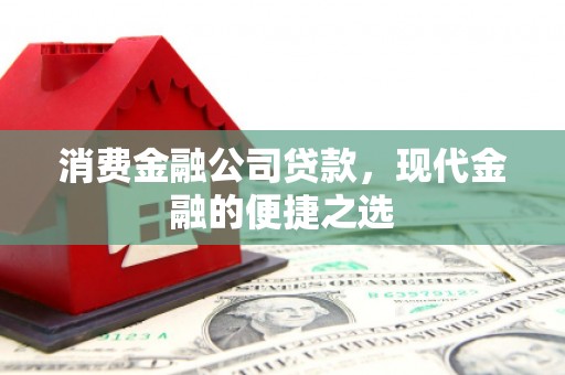 东明消费金融公司贷款，现代金融的便捷之选