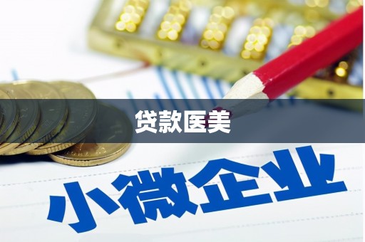 东明贷款医美