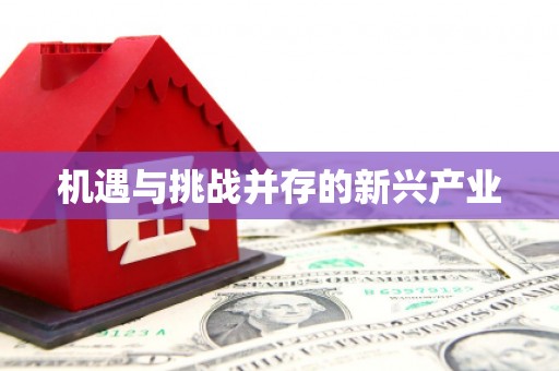 东明机遇与挑战并存的新兴产业