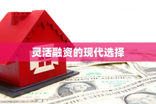 东明灵活融资的现代选择