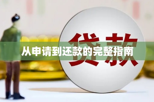 东明从申请到还款的完整指南